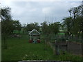 Garden, Meldon Farm