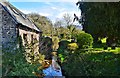 Nant Cwy at Llangors churchyard