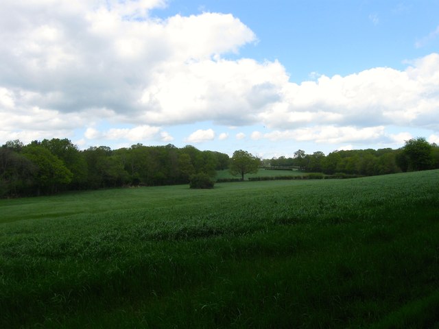 standgrove-lagg-flat-field-2-simon-carey-geograph-britain-and