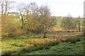 Damp valley floor