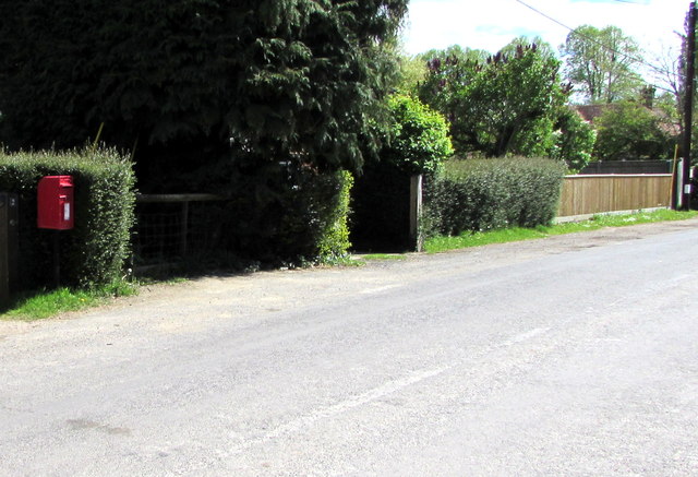 Postbox at the edge of a Rectory Hill hedge, West Dean