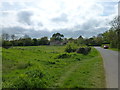 Lower Bitchfield from Dark Lane