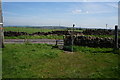 Kirklees Way at Wood End Lane