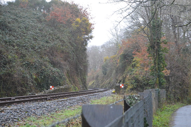 Cutting, Plym Valley Railway