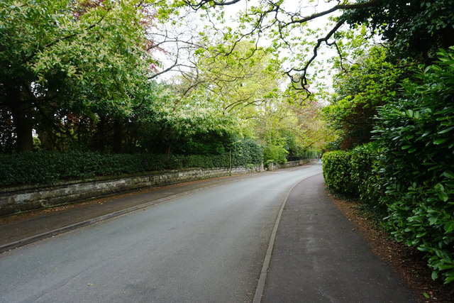 Leafy lane in Bowdon