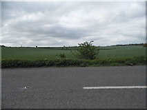 SU5449 : Field by Andover Road, Deane by David Howard
