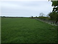 Farmland near Auchencrow Mains