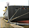 Safely moored at Bollard Quay