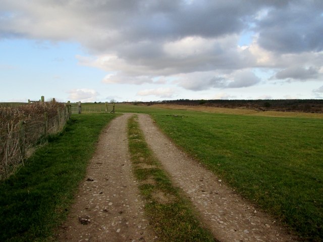Track  from  High  Pastures  Farm  to  fields