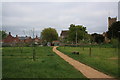 Bridport Community Orchard