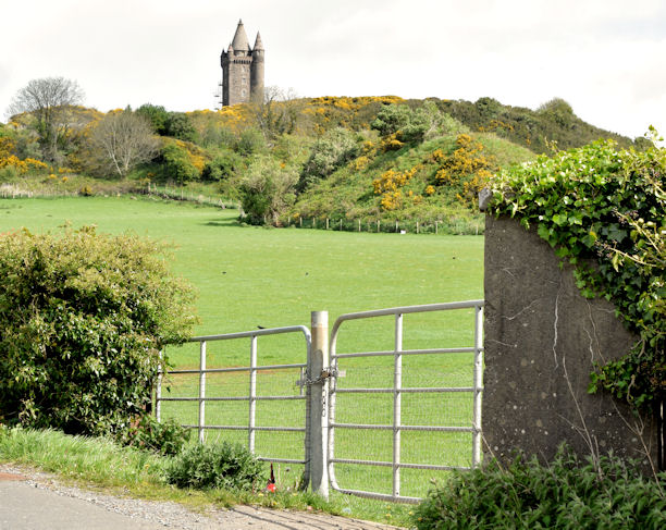 Field gates, Scrabo, Newtownards - May 2015(2)