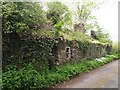 Ruined Cottages, Llandyfrydog