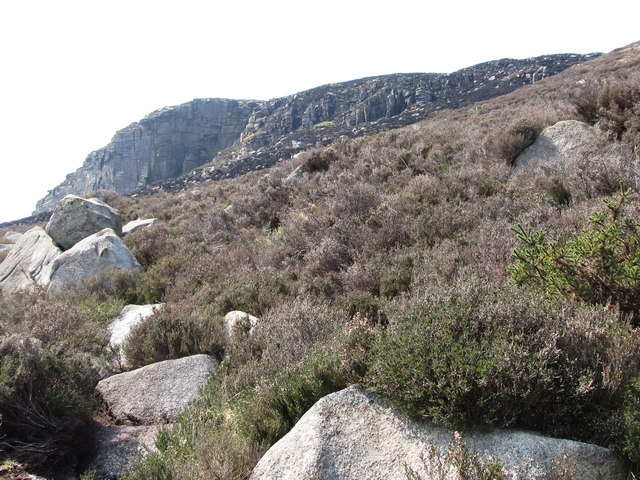Hidden boulders in deep heather on the slopes of Cove Mountain