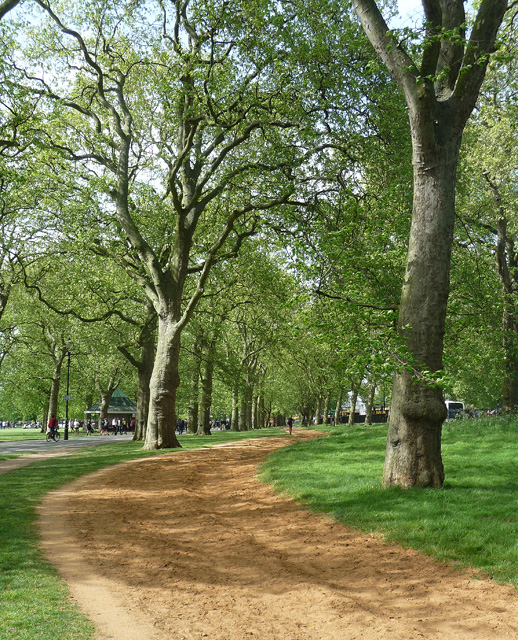 Horse ride, Hyde Park © Stephen Richards :: Geograph Britain and Ireland