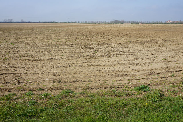 Harvested field near Lee Farm