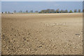 Barren fields near Lee Farm