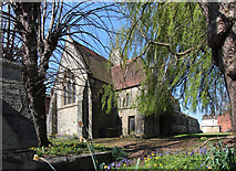 TR0041 : Christ Church, Ashford by John Salmon