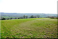 Field at Easthay lane