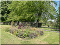 Flower Bed, Woodside Park, London N22