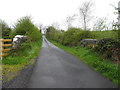 Bridge along Esker Road