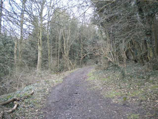 Bridleway through Cottagers Hill Spinney