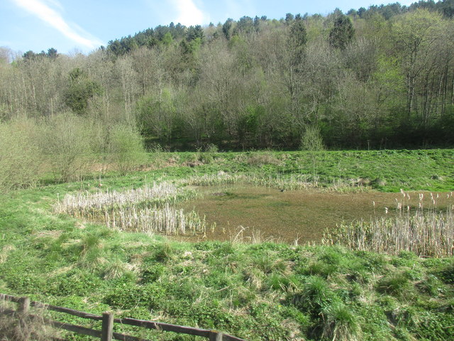 Pond by the railway
