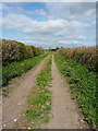 Narrow lane to Water Eaton