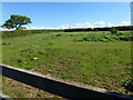 TF0214 : Horse paddock near Aunby by Richard Humphrey