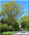 Bond Lane heading towards Mountsorrel