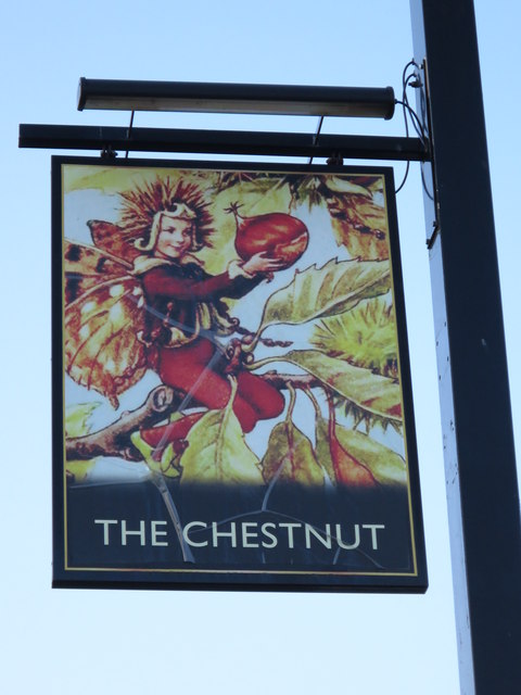 Pub Sign at The Chestnut