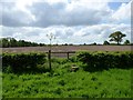 Field on the Peover estate