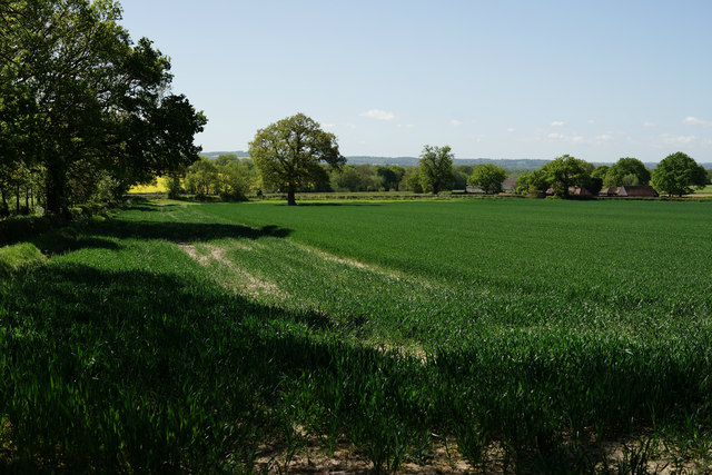 Fields Near Swaynesland