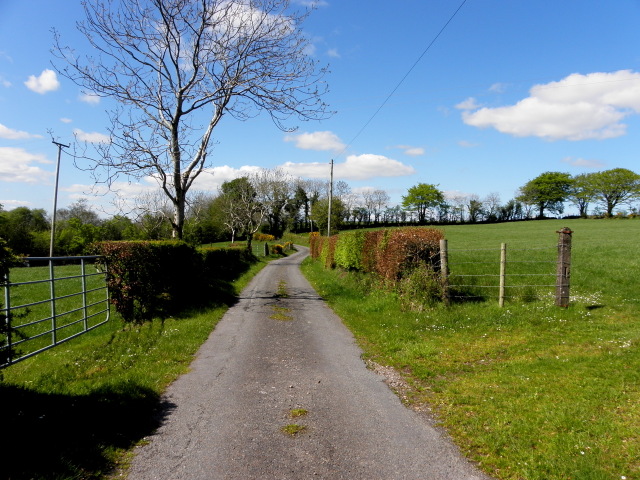 Tycanny Road, Tycanny © Kenneth Allen cc-by-sa/2.0 :: Geograph Ireland