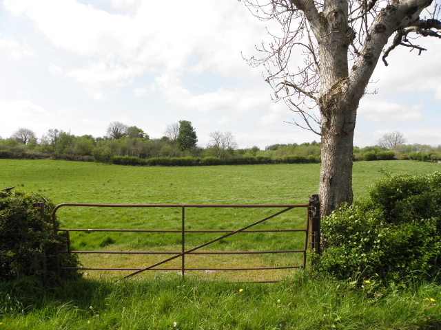 Coolesker Townland © Kenneth Allen :: Geograph Ireland