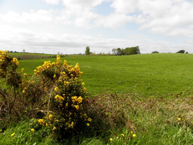 Coolesker Townland © Kenneth Allen cc-by-sa/2.0 :: Geograph Ireland