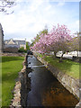 Dornoch Burn