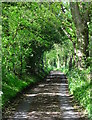 Holt Lane, Tangley, Hampshire