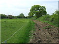 Footpath And Track