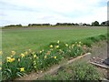 Farmland at Hill Top Farm