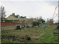 Allotments by Victoria Road