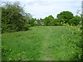 Grassland at North Farm