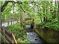 Old bridge over burn alongside Ferry Road, Pitlochry