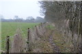 Footpath by the Mid Norfolk Railway