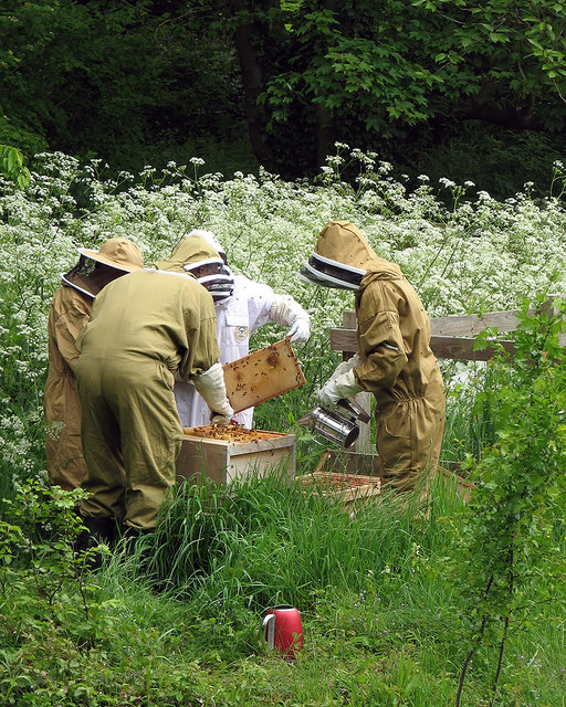 Beekeepers at King's College