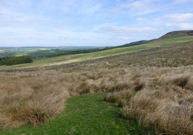 Marsh and rough grazing west of Blawearie 