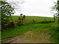 Mullaghmore Townland