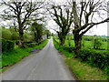 Letfern Road, Mullaghmore