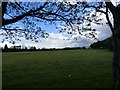 Former school playing fields