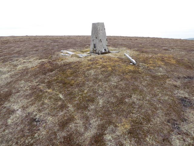 The trig-point on Col-bheinn (538m)