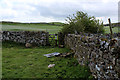 A Field Corner below Capple Bank